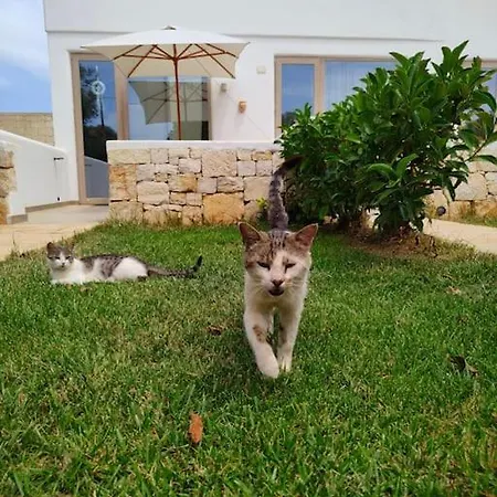 Emanuela 1.0 *